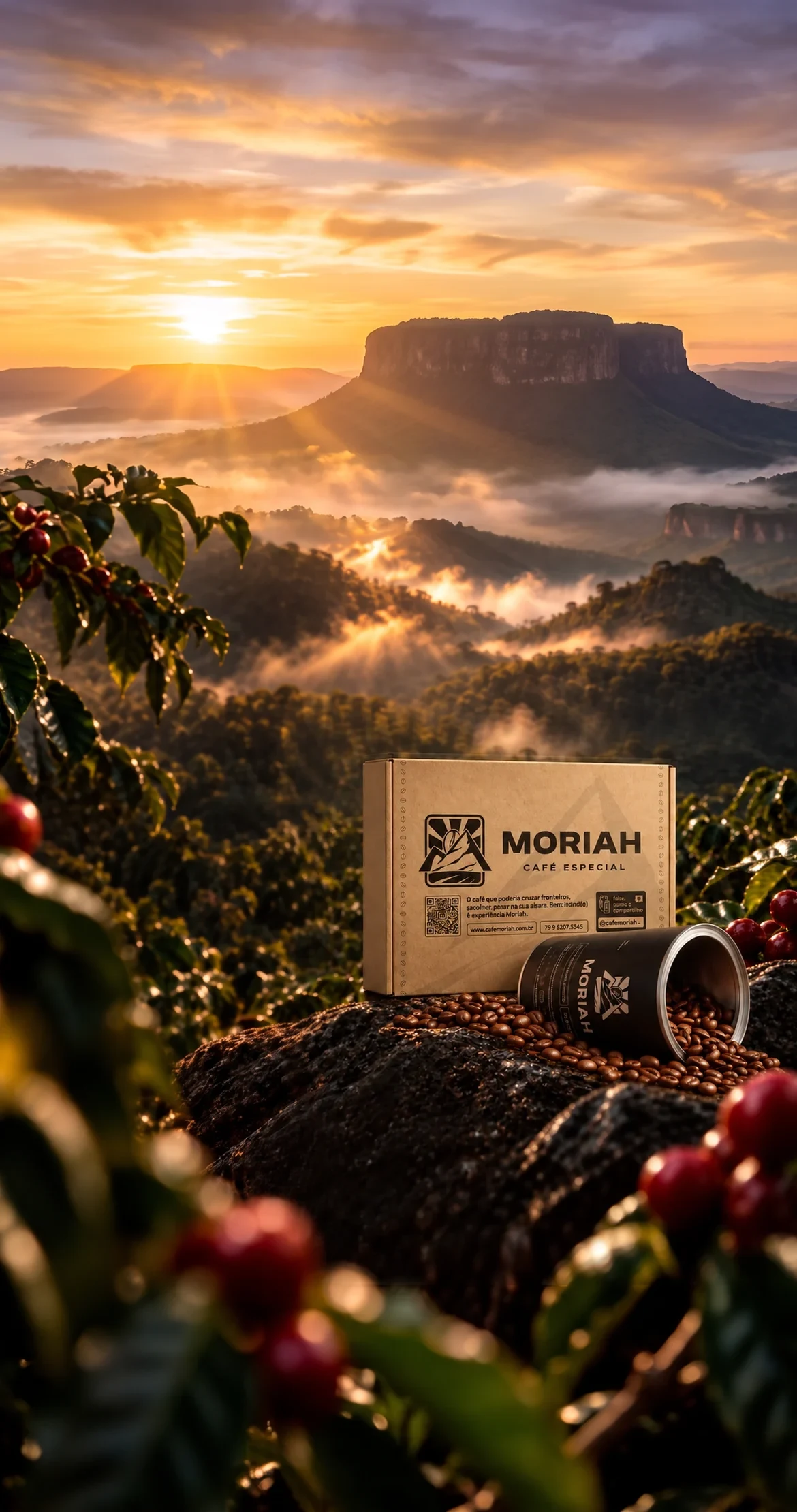 Caixa e lata da assinatura de cafés Moriah sobre grãos, com cafezal ao fundo